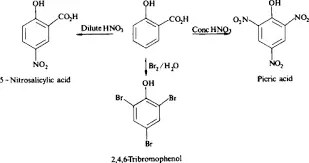 3,5-Dinitro-4-hydroxybenzoic Acid