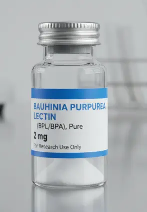 Bauhinia purpurea Lectin (BPL/BPA) : Pure