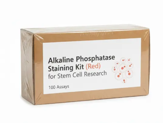 Alkaline Phosphatase Staining Kit (Red) for Stem Cell Research