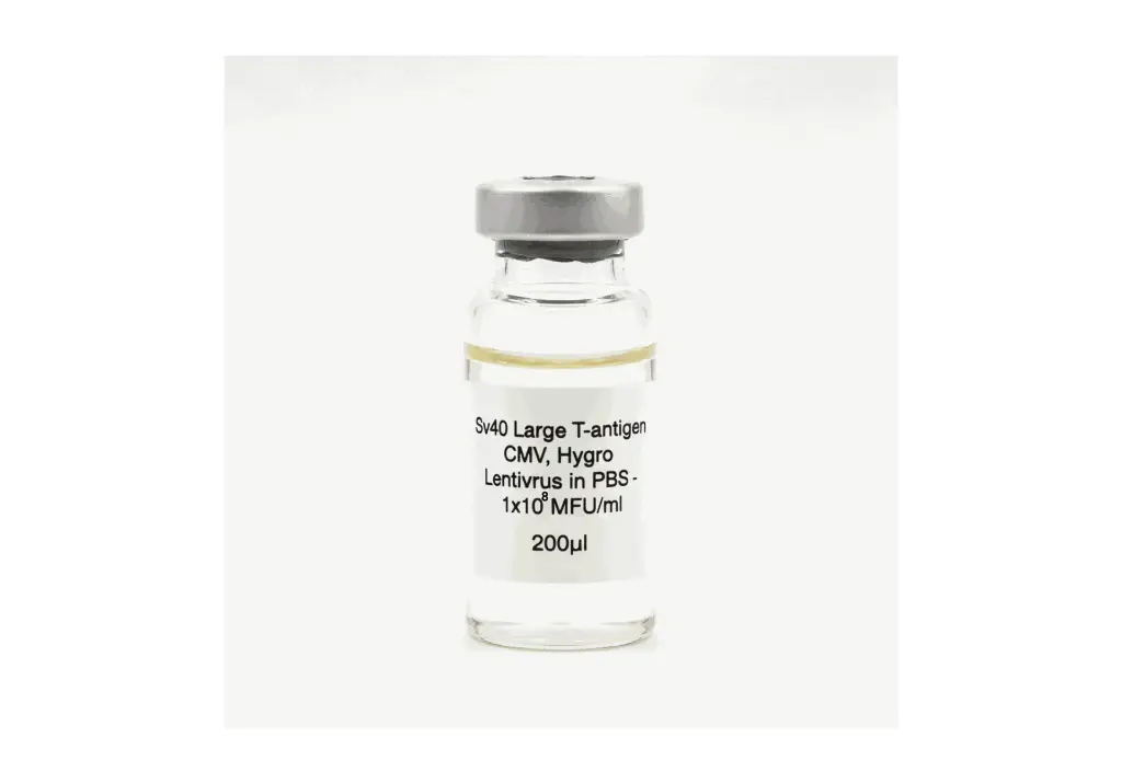 Sv40 Large T-antigen (CMV; Hygro) Lentivirus in PBS : 1x10^8 IFU/ml x 200µl