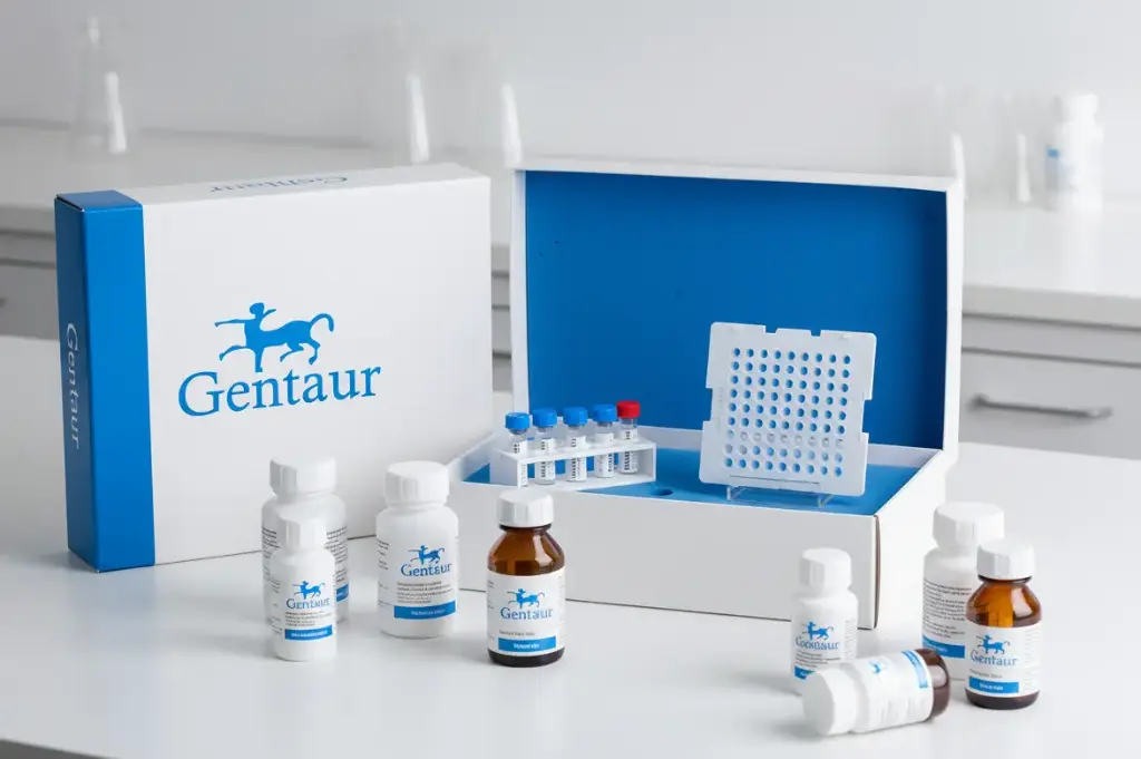 alpha-SNCO elisa kit per Umano alpha Synuclein Oligomer ELISA Kit; 5X96T