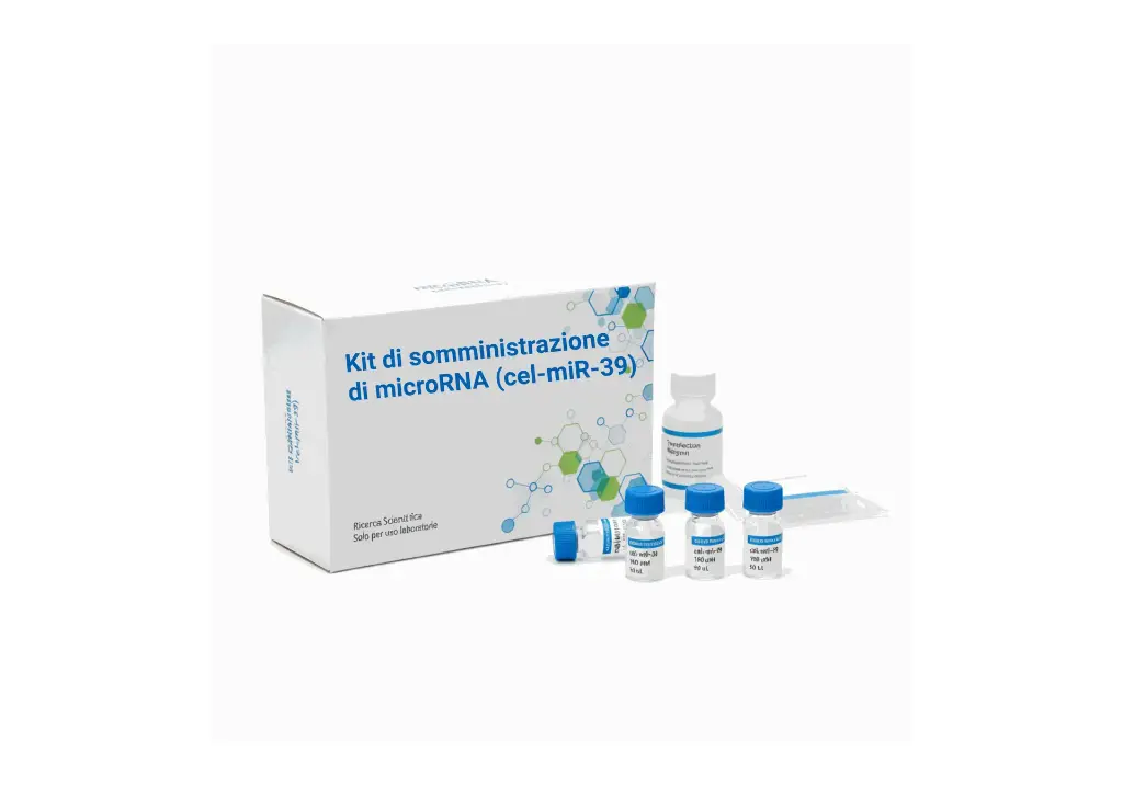 Kit di somministrazione di microRNA (cel-miR-39)