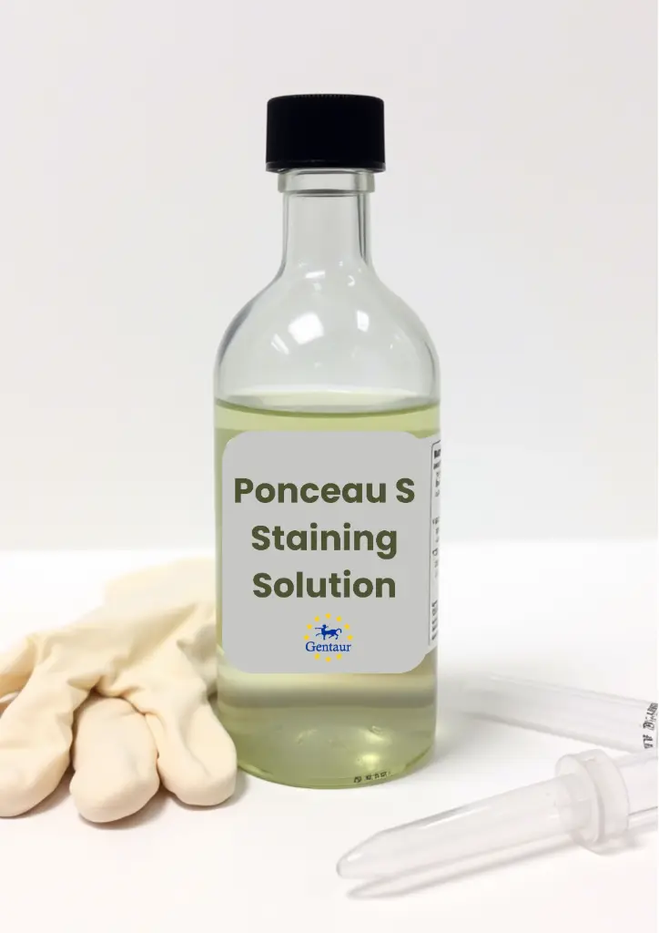 Soluzione colorante proteica Ponceau S