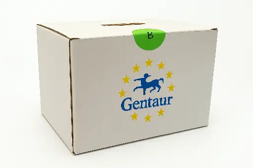 ATF4 Luciferase Reporter HepG2 Stable Cell Line : One vial of 2 x 106 Cellule